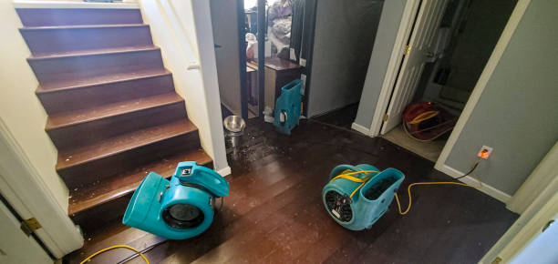 Best Water damage restoration process  in St Martinville, LA