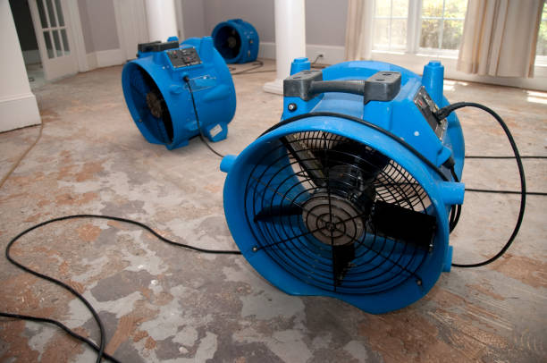 Best Water damage repair service  in St Martinville, LA