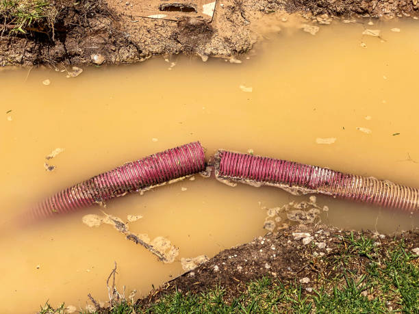 Trusted St Martinville, LA Water damage restoration Experts